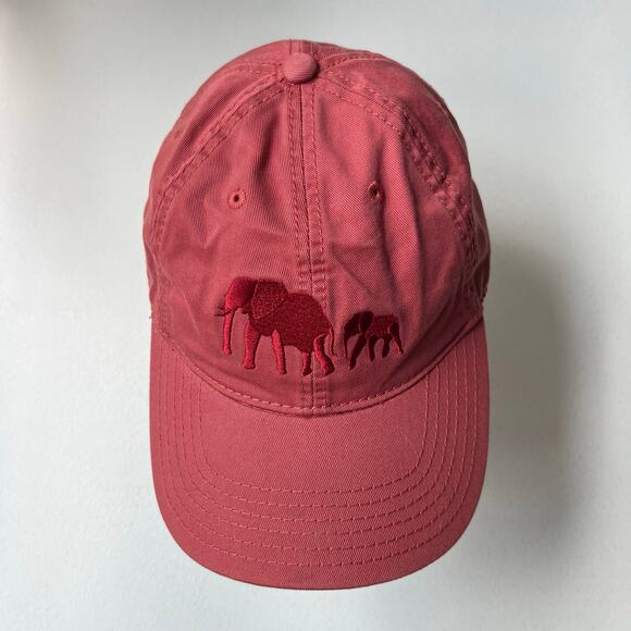 Dave Matthews Band Elephant Dad Hat Embroidered Legacy Cap Tour Concert Festival main image 9